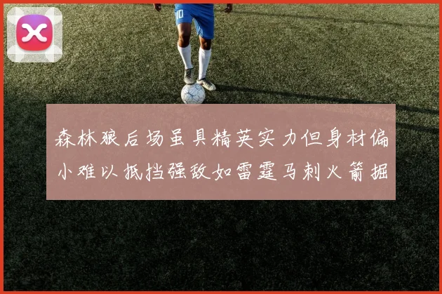 森林狼后场虽具精英实力但身材偏小难以抵挡强敌如雷霆马刺火箭掘金